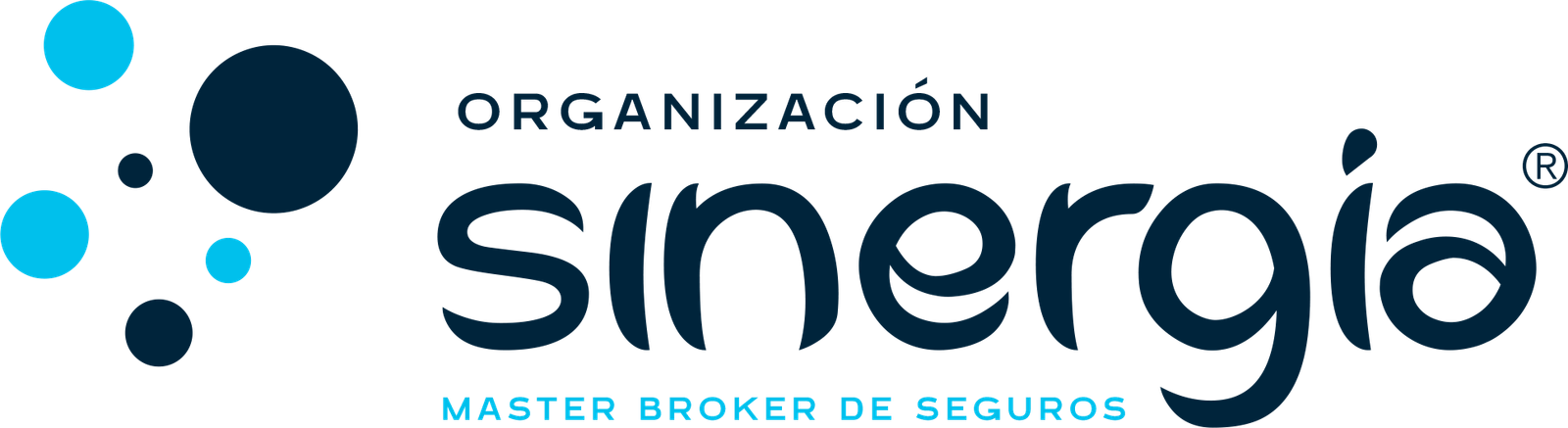 Logo Organización Sinergia