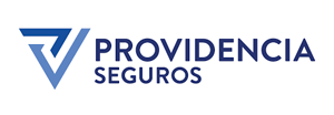 servicio_de_gruas_providencia_seguros